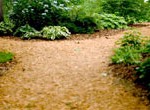 Which path will you decide to take?