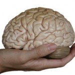 Here's your scrubbed brain - just kidding!