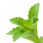 Stevia is a sweet herb